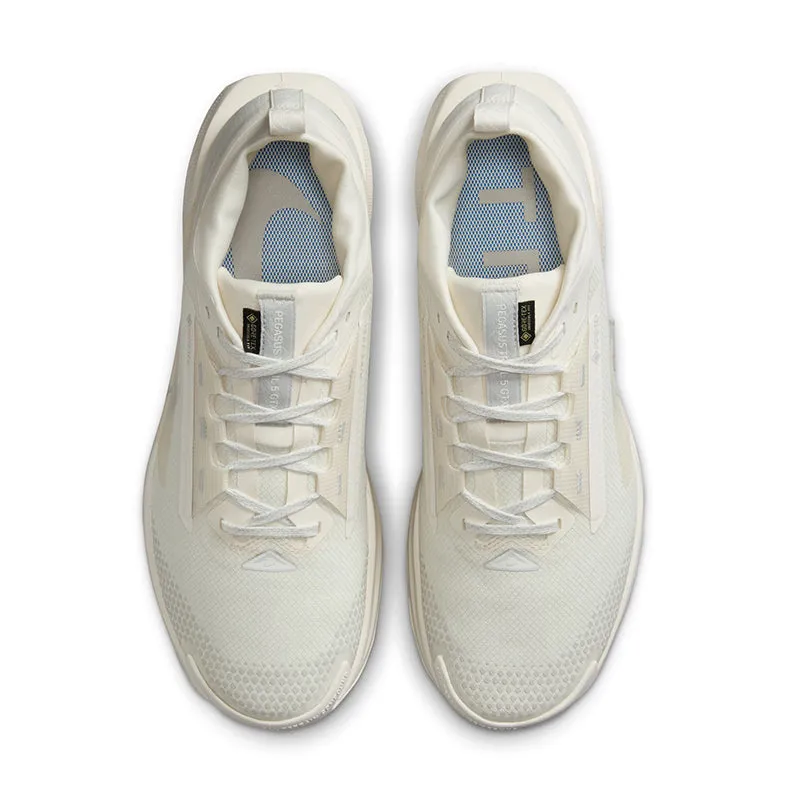 Men's Pegasus Trail 5 GORE-TEX Sail/Photon Dust