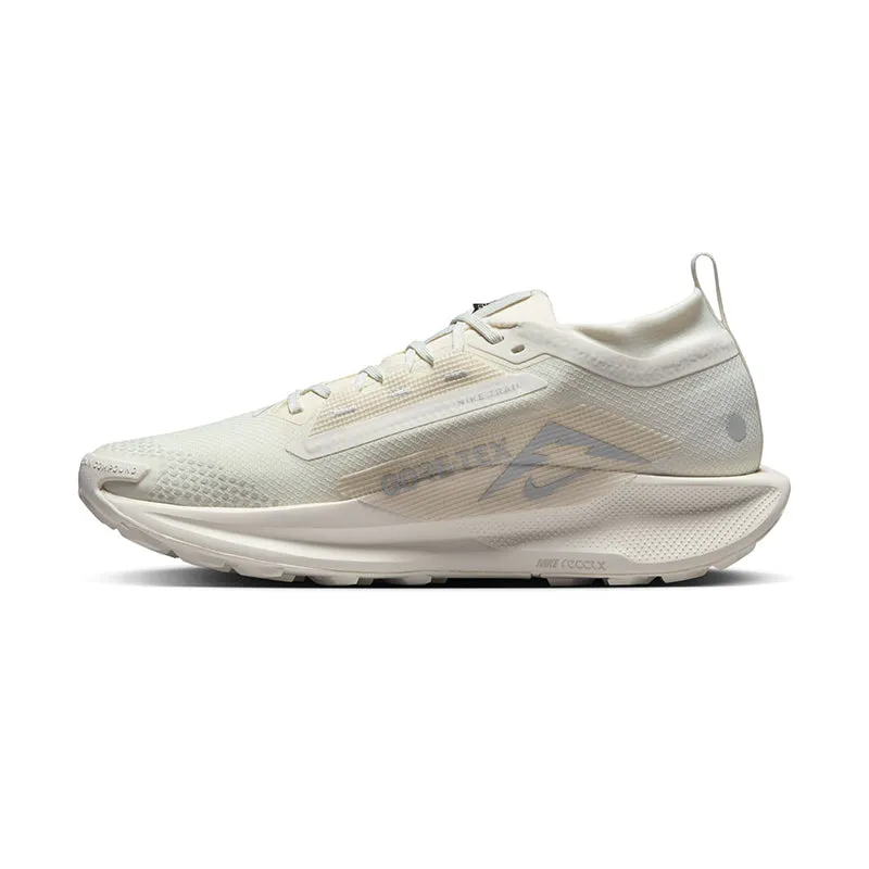 Men's Pegasus Trail 5 GORE-TEX Sail/Photon Dust