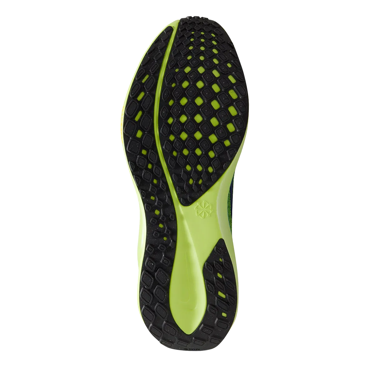 Nike Air Zoom Pegasus 41