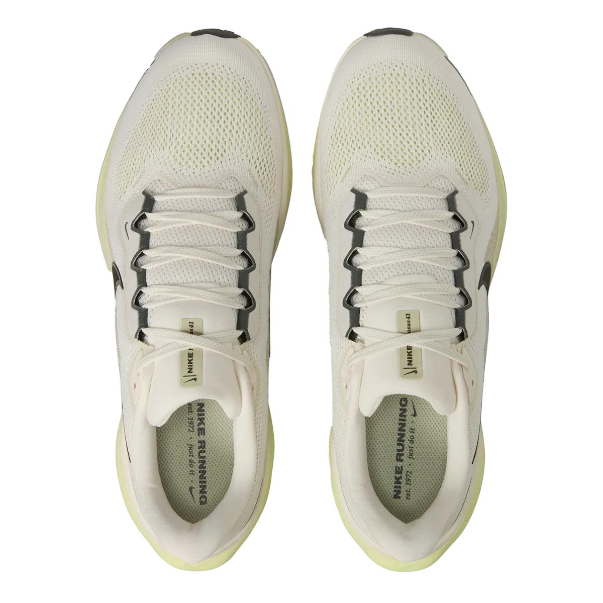 Nike Air Zoom Pegasus 41