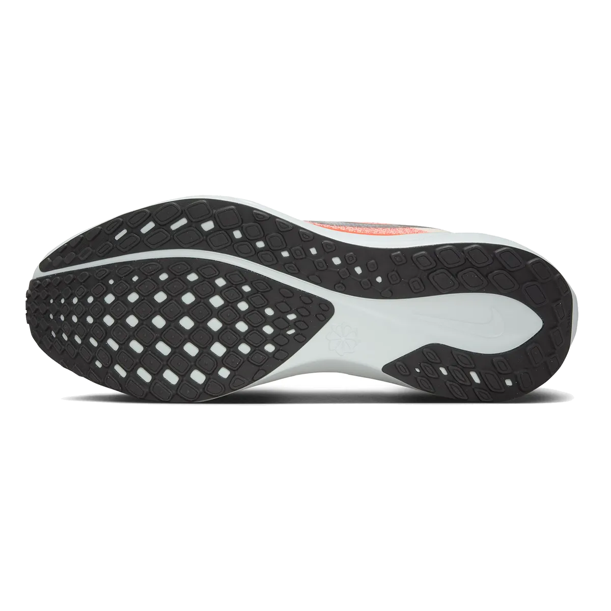 Nike Air Zoom Pegasus 41
