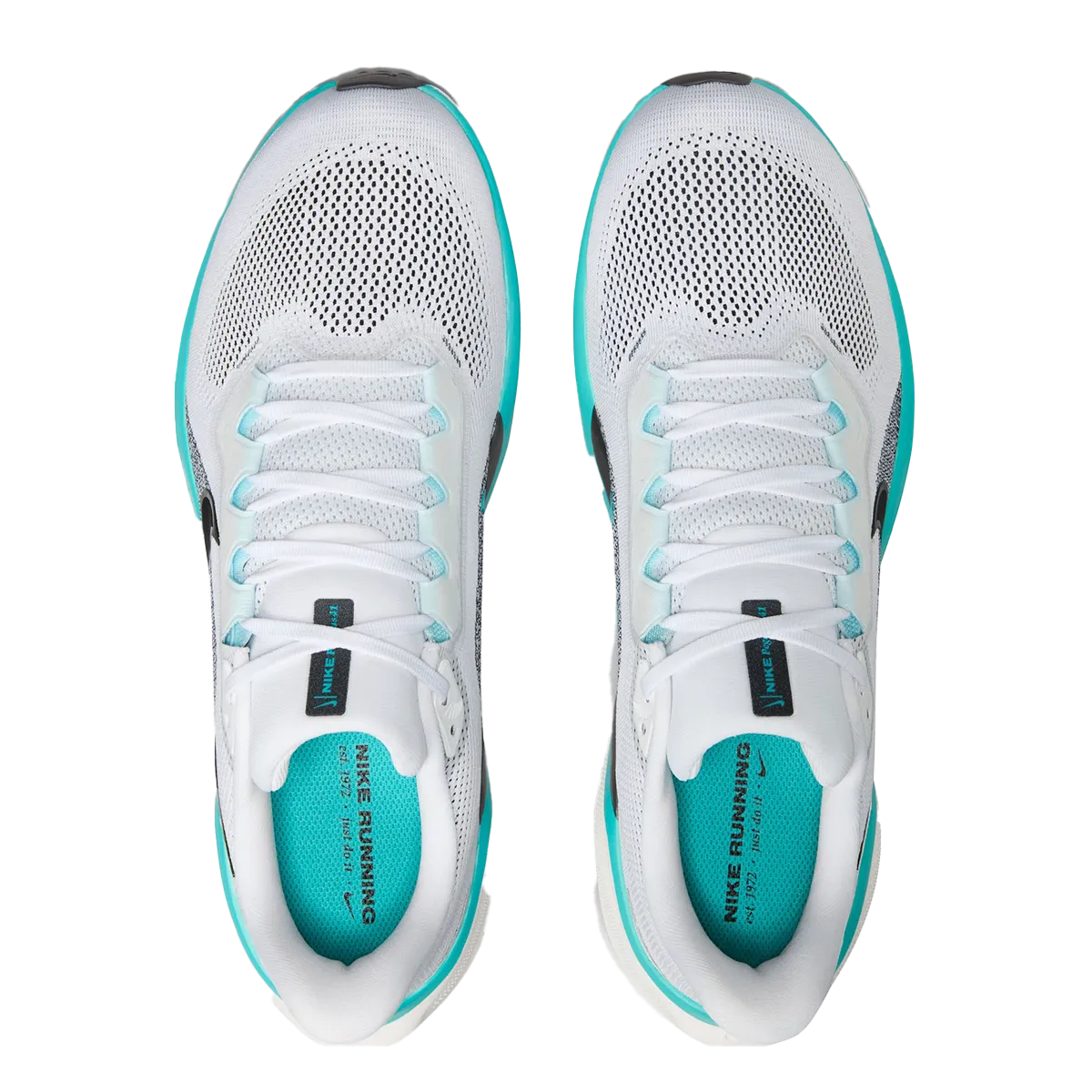 Nike Air Zoom Pegasus 41
