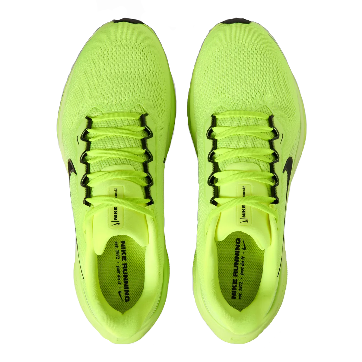 Nike Air Zoom Pegasus 41
