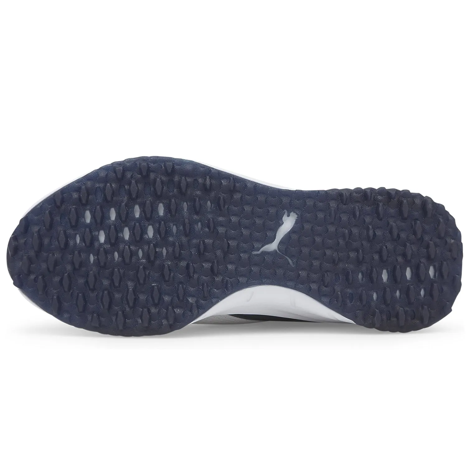Puma Fusion Evo Golf Shoes 193850