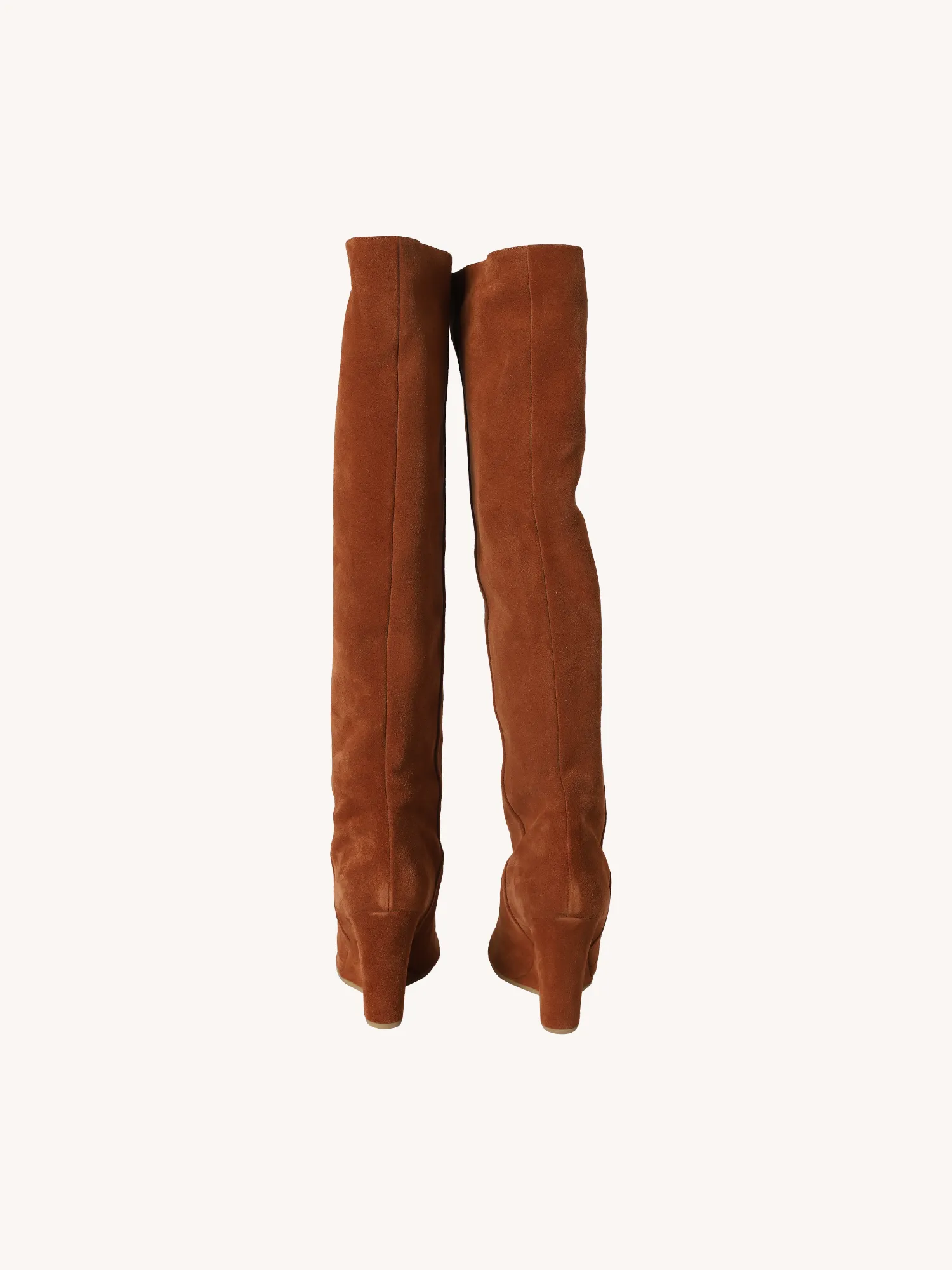 Tall Suede Boots